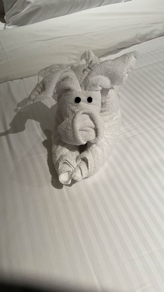 Another cute towel animal on our bed in our stateroom.  I'm pretty sure it's a dog.